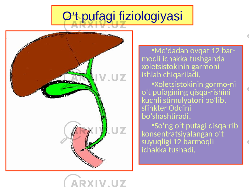 • Me&#39;dadan ovqat 12 bar- moqli ichakka tushganda xoletsistokinin garmoni ishlab chiqariladi. • Xoletsistokinin gormo-ni o‘t pufagining qisqa-rishini kuchli stimulyatori bo‘lib, sfinkter Oddini bo‘shashtiradi. • So‘ng o‘t pufagi qisqa-rib konsentratsiyalangan o‘t suyuqligi 12 barmoqli ichakka tushadi.O‘t pufagi fiziologiyasi 