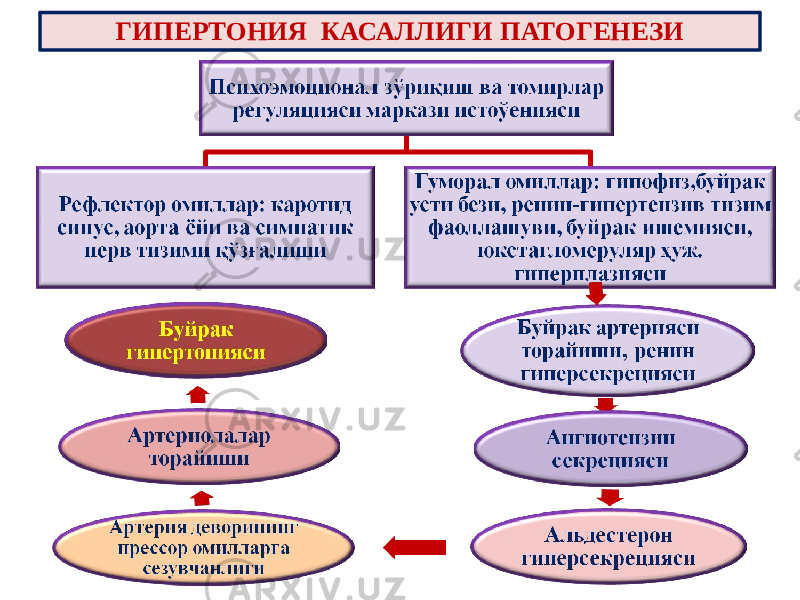 ГИПЕРТОНИЯ КАСАЛЛИГИ ПАТОГЕНЕЗИ 