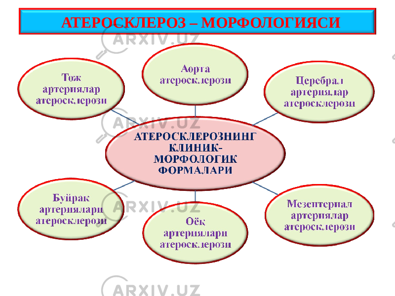  АТЕРОСКЛЕРОЗ – МОРФОЛОГИЯСИ 