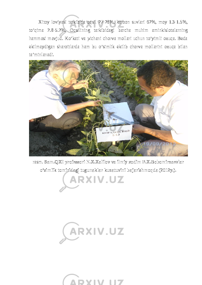 Xitoy loviyasi tarkibida oqsil 27-28%, karbon suvlari 62%, moy 1.3-1.5%, to’qima 2.8-5.2%. Oqsilining tarkibidagi barcha muhim aminkislotalarning hammasi mavjud. Ko’kati va pichani chorva mollari uchun to’yimli ozuqa. Beda ekilmaydigan sharoitlarda ham bu o’simlik ekilib chorva mollarini ozuqa bilan ta’minlanadi. rasm. Sam.QXI professori N.X.Xalilov va ilmiy xodim P.X.Bobomirzaevlar o’simlik tomiridagi tugunaklar kuzatuvini bajarishmoqda (2012y.). 