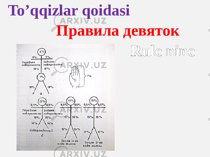 Toʼqqizlar qoidasi Правила девяток Rule nine 