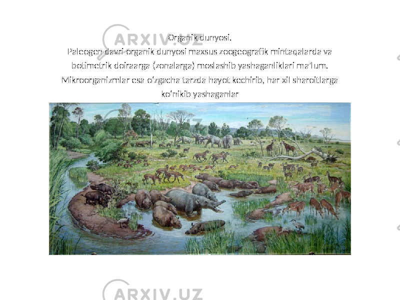 Organik dunyosi. Paleogen davri organik dunyosi maxsus zoogeografik mintaqalarda va botimetrik doiraarga (zonalarga) moslashib yashaganliklari ma’lum. Mikroorganizmlar esa o‘zgacha tarzda hayot kechirib, har xil sharoitlarga ko‘nikib yashaganlar 