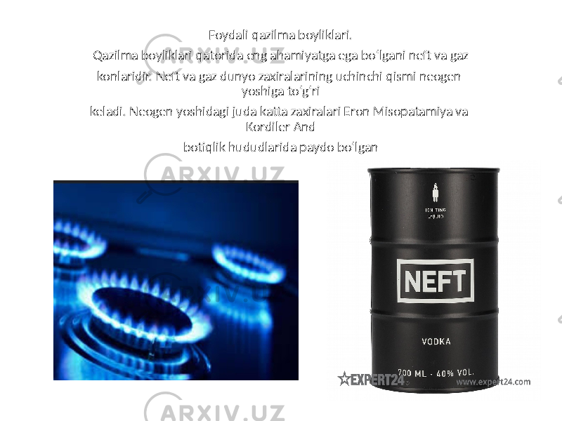 Foydali qazilma boyliklari. Qazilma boyliklari qatorida eng ahamiyatga ega bo‘lgani neft va gaz konlaridir. Neft va gaz dunyo zaxiralarining uchinchi qismi neogen yoshiga to‘g‘ri keladi. Neogen yoshidagi juda katta zaxiralari Eron Misopatamiya va Kordiler And botiqlik hududlarida paydo bo‘lgan 