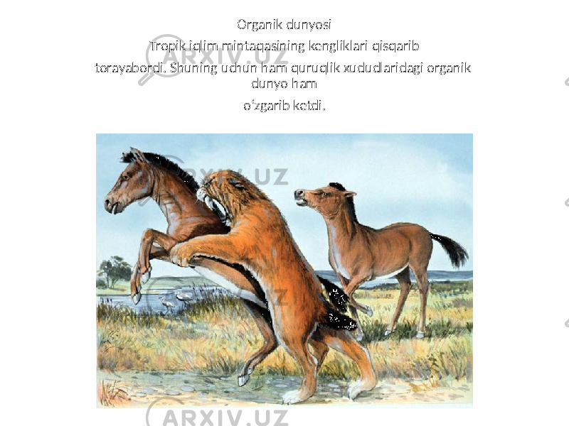 Organik dunyosi Tropik iqlim mintaqasining kengliklari qisqarib torayabordi. Shuning uchun ham quruqlik xududlaridagi organik dunyo ham o‘zgarib ketdi. 