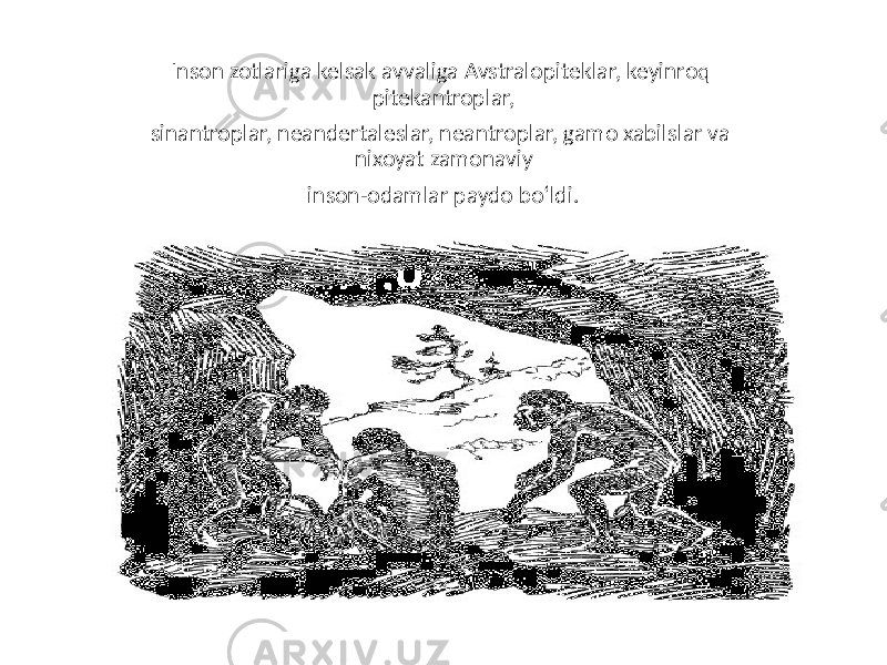 Inson zotlariga kelsak avvaliga Avstralopiteklar, keyinroq pitekantroplar, sinantroplar, neandertaleslar, neantroplar, gamo xabilslar va nixoyat zamonaviy inson-odamlar paydo bo‘ldi. 