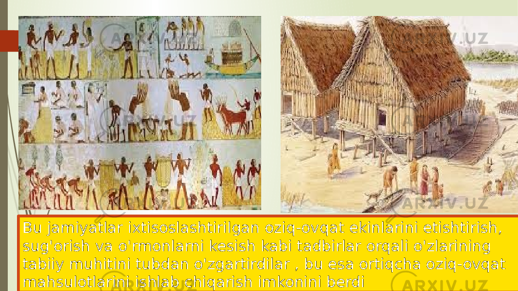 Bu jamiyatlar ixtisoslashtirilgan oziq-ovqat ekinlarini etishtirish, sug&#39;orish va o&#39;rmonlarni kesish kabi tadbirlar orqali o&#39;zlarining tabiiy muhitini tubdan o&#39;zgartirdilar , bu esa ortiqcha oziq-ovqat mahsulotlarini ishlab chiqarish imkonini berdi 