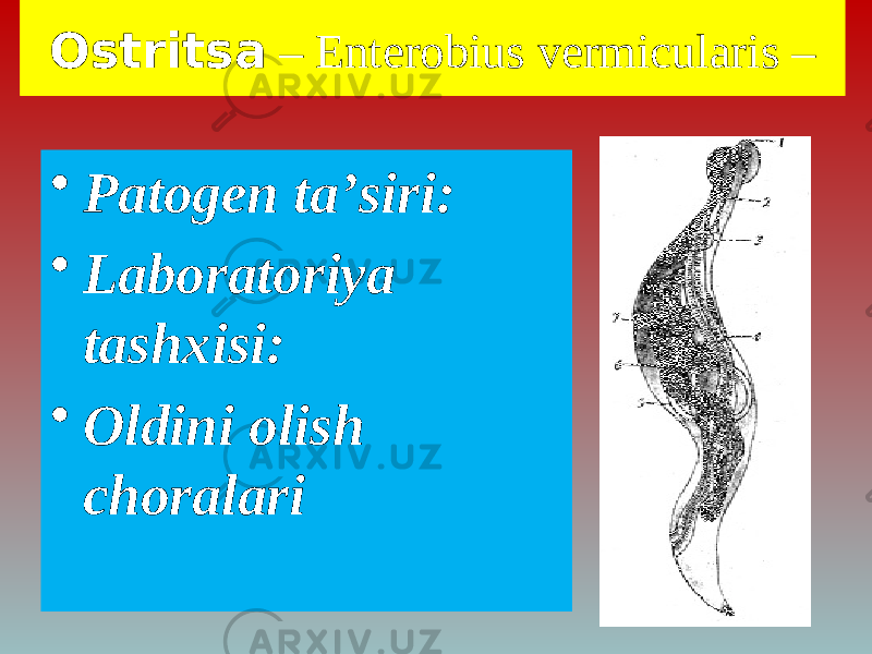 Ostritsa – Enterobius vermicularis – • Patogen taʼsiri: • Laboratoriya tashxisi: • Oldini olish choralari 