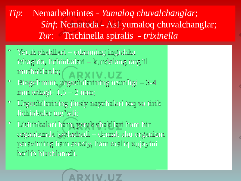 Тip : Nemathelmintes - Yumaloq chuvalchanglar ; Sinf : Nematoda - Аsl yumaloq chuvalchanglar; Tur : Trichinella spiralis - trixinella • Yetuk shakllari – odamning ingichka ichagida, lichinkalari – kundalang targ’il mushaklarda; • Biogel’mint, urgochilarining uzunligi – 3-4 mm erkagi- 1,5 – 2 mm; • Urgochilarining jinsiy naychalari toq va tirik lichinkalar tug’adi; • Lichinkalari ham, yetuk shakllari ham bir organizmda joylashadi – demak shu organizm parazitning ham asosiy, ham oraliq xujayini bo’lib hisoblanadi. 