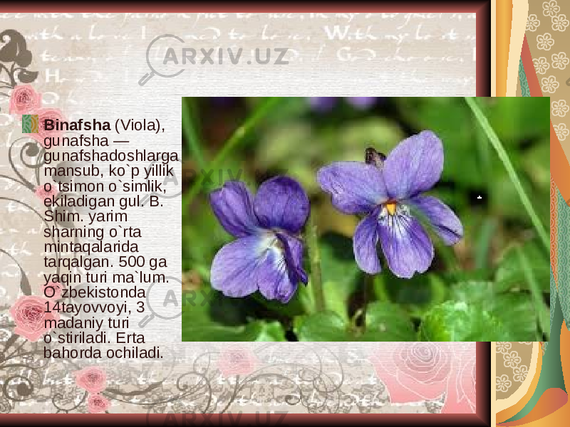 Binafsha (Viola), gunafsha — gunafshadoshlarga mansub, ko`p yillik o`tsimon o`simlik, ekiladigan gul. B. Shim. yarim sharning o`rta mintaqalarida tarqalgan. 500 ga yaqin turi ma`lum. O`zbekistonda 14tayovvoyi, 3 madaniy turi o`stiriladi. Erta bahorda ochiladi. 