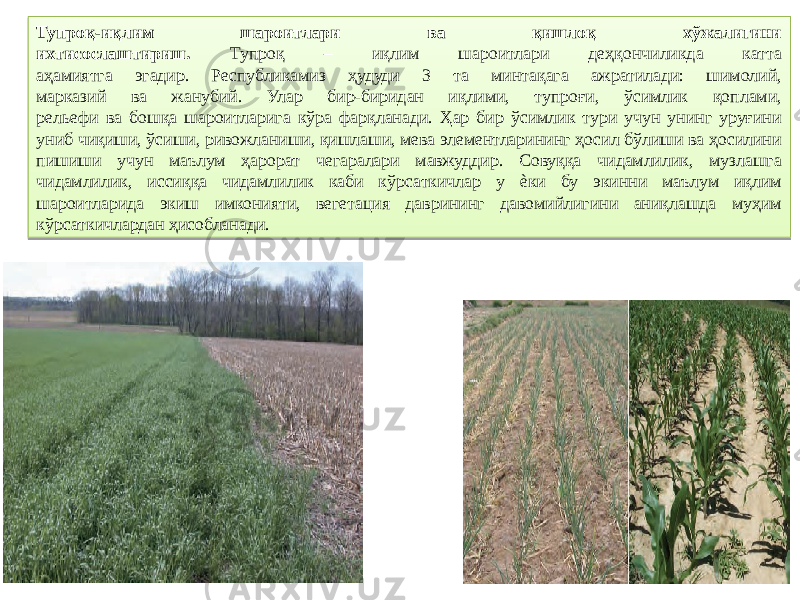 Тупроқ-иқлим шароитлари ва қишлоқ хўжалигини ихтисослаштириш. Тупроқ – иқлим шароитлари деҳқончиликда катта аҳамиятга эгадир. Республикамиз ҳудуди 3 та минтақага ажратилади: шимолий, марказий ва жанубий. Улар бир-биридан иқлими, тупроғи, ўсимлик қоплами, рельефи ва бошқа шароитларига кўра фарқланади. Ҳар бир ўсимлик тури учун унинг уруғини униб чиқиши, ўсиши, ривожланиши, қишлаши, мева элементларининг ҳосил бўлиши ва ҳосилини пишиши учун маълум ҳарорат чегаралари мавжуддир. Совуққа чидамлилик, музлашга чидамлилик, иссиққа чидамлилик каби кўрсаткичлар у ѐки бу экинни маълум иқлим шароитларида экиш имконияти, вегетация даврининг давомийлигини аниқлашда муҳим кўрсаткичлардан ҳисобланади.23 03 2E 020C0203 03 160B0F 1D05 1F 0E 19 10 