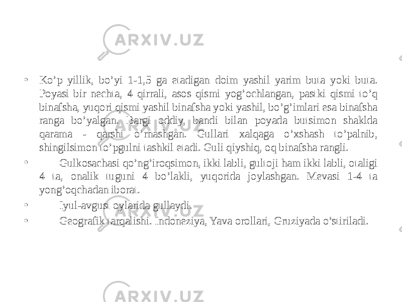 • Ko’p yillik, bo’yi 1-1,5 ga еtadigan doim yashil yarim buta yoki buta. Poyasi bir nеchta, 4 qirrali, asos qismi yog’ochlangan, pastki qismi to’q binafsha, yuqori qismi yashil binafsha yoki yashil, bo’g’imlari esa binafsha ranga bo’yalgan. Bargi oddiy, bandi bilan poyada butsimon shaklda qarama - qarshi o’rnashgan. Gullari xalqaga o’xshash to’palnib, shingilsimon to’pgulni tashkil etadi. Guli qiyshiq, oq binafsha rangli. • Gulkosachasi qo’ng’iroqsimon, ikki labli, gultoji ham ikki labli, otaligi 4 ta, onalik tuguni 4 bo’lakli, yuqorida joylashgan. Mеvasi 1-4 ta yong’oqchadan iborat. • Iyul-avgust oylarida gullaydi. • Gеografik tarqalishi. Indonеziya, Yava orollari, Gruziyada o’stiriladi. 