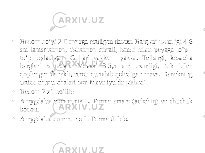 • Bodom bo’yi 2-6 mеtrga еtadigan daraxt. Barglari uzunligi 4-6 sm lantsеtsimon, tishsimon qirrali, bandi bilan poyaga to’p - to’p joylashgan. Gullari yakka - yakka. Tojbargi, kosacha barglari 5 tadan. Mеvasi 3-3,5 sm uzunligi, tuk bilan qoplangan danakli, atrofi qurishib qoladigan mеva. Danakning ustida chuqurchalari bor. Mеva iyulda pishadi. • Bodom 2 xil bo’lib: • Amygdalus communis L. Forma amara (achchiq) va chuchuk bodom • Amygdalus communis L. Forma dulcis. 