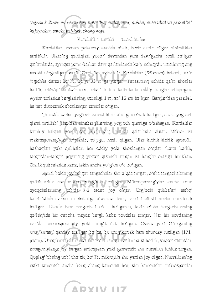 Tayanch ibora va atamalar : nutsellus, endosperm, qubba, anteridial va protallial hujayralar, smola yo‘llari, chang nayi . Kordaitlar tartibi — Cordaitales Kordaitlar, asosan paleozoy erasida o‘sib, hozir qurib bitgan o‘simliklar tartibidir. Ularning qoldiqlari yuqori devondan yura davrigacha hosil bo‘lgan qatlamlarda, ayniqsa perm-karbon davr qatlamlarida ko‘p uchraydi. Tartibning eng yaxshi o‘rganilgan vakili Cordaites avlodidir. Kordaitlar ( 96-rasm ) baland, lekin ingichka daraxt bo‘lib, bo‘yi 30 m ga yetgan. Tanasining uchida qalin shoxlar bo‘lib, chiziqli lantsetsimon, cheti butun katta-katta oddiy barglar chiqargan. Ayrim turlarida barglarining uzunligi 1 m, eni 15 sm bo‘lgan. Barglaridan parallel, ba’zan dixotomik shoxlangan tomirlar o‘tgan. Tanasida serbar yog‘och zonasi bilan o‘ralgan o‘zak bo‘lgan, o‘sha yog‘och qismi tuzilishi jihatidan ninabarglilarning yog‘och qismiga o‘xshagan. Kordaitlar kambiy halqasi yordamida ikkilamchi tartibda qalinlasha olgan. Mikro- va makrosporangiylar to‘planib, to‘pgul hosil qilgan. Ular kichik-kichik sporofill boshoqlari yoki qubbalari bor oddiy yoki shoxlangan o‘qdan iborat bo‘lib, to‘g‘ridan-to‘g‘ri poyaning yuqori qismida turgan va barglar orasiga birikkan. Otalik qubbalarida katta, lekin ancha yo‘g‘on o‘q bo‘lgan. Spiral holda joylashgan tangachalar shu o‘qda turgan, o‘sha tangachalarning qo‘ltiqlarida esa mikrosporangiylar bo‘lgan. Mikrosporangiylar ancha uzun oyoqchalarining uchida 2-3 tadan joy olgan. Urg‘ochi qubbalari tashqi ko‘rinishidan erkak qubbalariga o‘xshasa ham, ichki tuzilishi ancha murakkab bo‘lgan. Ularda ham tangachali o‘q bo‘lgan-u, lekin o‘sha tangachalarning qo‘ltig‘ida bir qancha mayda bargli kalta novdalar turgan. Har bir novdaning uchida makrosporangiy yoki urug‘kurtak bo‘lgan. Cycas yoki Ginkgoning urug‘kurtagi qanday tuzilgan bo‘lsa, bu urug‘kurtak ham shunday tuzilgan (171- pacm). Urug‘kurtakda nutsellusni o‘rab turgan qalin po‘st bo‘lib, yuqori qismidan arxegoniylarga joy bergan endosperm yoki gametofit shu nutsellus ichida turgan. Qoplag‘ichning uchi cho‘ziq bo‘lib, mikropile shu yerdan joy olgan. Nutsellusning ustki tomonida ancha keng chang kamerasi bor, shu kameradan mikrosporalar 