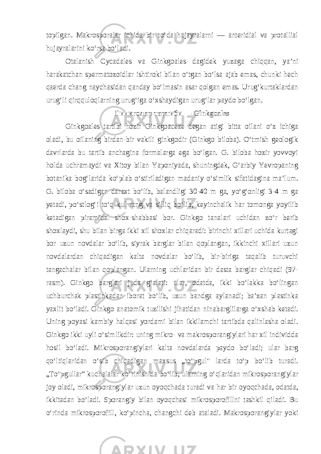 topilgan. Makrosporalar ichida bir to‘da hujayralarni — anteridial va protallial hujayralarini ko‘rsa bo‘ladi. Otalanish Cycadales va Ginkgoales dagidek yuzaga chiqqan, ya’ni harakatchan spermatozoidlar ishtiroki bilan o‘tgan bo‘lsa ajab emas, chunki hech qaerda chang naychasidan qanday bo‘lmasin asar qolgan emas. Urug‘kurtaklardan urug‘li qirqquloqlarning urug‘iga o‘xshaydigan urug‘lar paydo bo‘lgan. Гинкголар тартиби — G i nk g oales Ginkgoales tartibi hozir Ginkgoaceae degan atigi bitta oilani o‘z ichiga oladi, bu oilaning birdan-bir vakili ginkgodir (Ginkgo biloba). O‘tmish geologik davrlarda bu tartib anchagina formalarga ega bo‘lgan. G. biloba hozir yovvoyi holda uchramaydi va Xitoy bilan Yaponiyada, shuningdek, G‘arbiy Yevropaning botanika bog‘larida ko‘plab o‘stiriladigan madaniy o‘simlik sifatidagina ma’lum. G. biloba o‘sadigan daraxt bo‘lib, balandligi 30-40 m ga, yo‘g‘onligi 3-4 m ga yetadi, po‘stlog‘i to‘q kul rang va silliq bo‘lib, keyinchalik har tomonga yoyilib ketadigan piramidal shox-shabbasi bor. Ginkgo tanalari uchidan zo‘r berib shoxlaydi, shu bilan birga ikki xil shoxlar chiqaradi: birinchi xillari uchida kurtagi bor uzun novdalar bo‘lib, siyrak barglar bilan qoplangan, ikkinchi xillari uzun novdalardan chiqadigan kalta novdalar bo‘lib, bir-biriga taqalib turuvchi tangachalar bilan qoplangan. Ularning uchlaridan bir dasta barglar chiqadi (97- rasm). Ginkgo barglari juda g‘alati: ular, odatda, ikki bo‘lakka bo‘lingan uchburchak plastinkadan iborat bo‘lib, uzun bandga aylanadi; ba’zan plastinka yaxlit bo‘ladi. Ginkgo anatomik tuzilishi jihatidan ninabarglilarga o‘xshab ketadi. Uning poyasi kambiy halqasi yordami bilan ikkilamchi tartibda qalinlasha oladi. Ginkgo ikki uyli o‘simlikdir: uning mikro- va makrosporangiylari har xil individda hosil bo‘ladi. Mikrosporangiylari kalta novdalarda paydo bo‘ladi; ular barg qo‘ltiqlaridan o‘sib chiqadigan maxsus „to‘pgul&#34; larda to‘p bo‘lib turadi. „To‘pgullar” kuchalalar ko‘rinishida bo‘lib, ularning o‘qlaridan mikrosporangiylar joy oladi, mikrosporangiylar uzun oyoqchada turadi va har bir oyoqchada, odatda, ikkitadan bo‘ladi. Sporangiy bilan oyoqchasi mikrosporofillni tashkil qiladi. Bu o‘rinda mikrosporofill, ko‘pincha, changchi deb ataladi. Makrosporangiylar yoki 