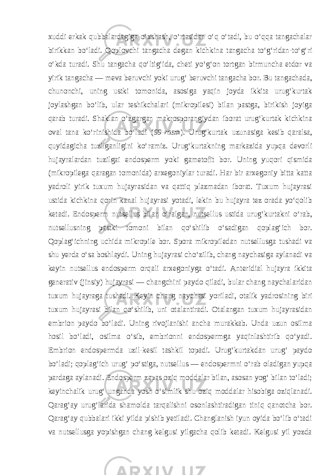 xuddi erkak qubbalardagiga o‘xshash, o‘rtasidan o‘q o‘tadi, bu o‘qqa tangachalar birikkan bo‘ladi. Qoplovchi tangacha degan kichkina tangacha to‘g‘ridan-to‘g‘ri o‘kda turadi. Shu tangacha qo‘ltig‘ida, cheti yo‘g‘on tortgan birmuncha etdor va yirik tangacha — meva beruvchi yoki urug‘ beruvchi tangacha bor. Bu tangachada, chunonchi, uning ustki tomonida, asosiga yaqin joyda ikkita urug‘kurtak joylashgan bo‘lib, ular teshikchalari (mikropilesi) bilan pastga, birikish joyiga qarab turadi. Shaklan o‘zgargan makrosporangiydan iborat urug‘kurtak kichkina oval tana ko‘rinishida bo‘ladi ( 99-rasm ). Urug‘kurtak uzunasiga kesib qaralsa, quyidagicha tuzilganligini ko‘ramiz. Urug‘kurtakning markazida yupqa devorli hujayralardan tuzilgai endosperm yoki gametofit bor. Uning yuqori qismida (mikropilega qaragan tomonida) arxegoniylar turadi. Har bir arxegoniy bitta katta yadroli yirik tuxum hujayrasidan va qattiq plazmadan iborat. Tuxum hujayrasi ustida kichkina qorin kanal hujayrasi yotadi, lekin bu hujayra tez orada yo‘qolib ketadi. Endosperm nutsellus bilan o‘ralgan, nutsellus ustida urug‘kurtakni o‘rab, nutsellusning pastki tomoni bilan qo‘shilib o‘sadigan qoplag‘ich bor. Qoplag‘ichning uchida mikropile bor. Spora mikropiledan nutsellusga tushadi va shu yerda o‘sa boshlaydi. Uning hujayrasi cho‘zilib, chang naychasiga aylanadi va keyin nutsellus endosperm orqali arxegoniyga o‘tadi. Anteridial hujayra ikkita generativ (jinsiy) hujayrasi — changchini paydo qiladi, bular chang naychalaridan tuxum hujayraga tushadi. Keyin chang naychasi yoriladi, otalik yadrosining biri tuxum hujayrasi bilan qo‘shilib, uni otalantiradi. Otalangan tuxum hujayrasidan embrion paydo bo‘ladi. Uning rivojlanishi ancha murakkab. Unda uzun osilma hosil bo‘ladi, osilma o‘sib, embrionni endospermga yaqinlashtirib qo‘yadi. Embrion endospermda uzil-kesil tashkil topadi. Urug‘kurtakdan urug‘ paydo bo‘ladi; qoplag‘ich urug‘ po‘stiga, nutsellus — endospermni o‘rab oladigan yupqa pardaga aylanadi. Endosperm zapas oziq moddalar bilan, asosan yog‘ bilan to‘ladi; keyinchalik urug‘ unganda yosh o‘simlik shu oziq moddalar hisobiga oziqlanadi. Qarag‘ay urug‘larida shamolda tarqalishni osonlashtiradigan tiniq qanotcha bor. Qarag‘ay qubbalari ikki yilda pishib yetiladi. Changlanish iyun oyida bo‘lib o‘tadi va nutsellusga yopishgan chang kelgusi yilgacha qolib ketadi. Kelgusi yil yozda 