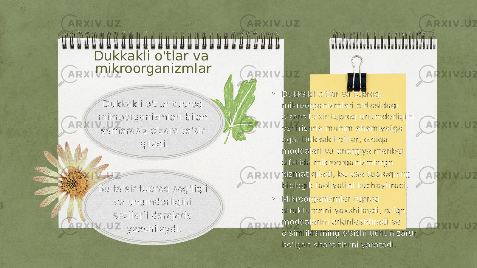 Dukkakli o&#39;tlar va mikroorganizmlar Dukkakli o&#39;tlar tuproq mikroorganizmlari bilan samarasiz o&#39;zaro ta&#39;sir qiladi. Bu ta&#39;sir tuproq sog&#39;lig&#39;i va unumdorligini sezilarli darajada yaxshilaydi. • Dukkakli o&#39;tlar va tuproq mikroorganizmlari o&#39;rtasidagi o&#39;zaro ta&#39;sir tuproq unumdorligini oshirishda muhim ahamiyatga ega. Dukkakli o&#39;tlar, ozuqa moddalari va energiya manbai sifatida mikroorganizmlarga xizmat qiladi, bu esa tuproqning biologik faoliyatini kuchaytiradi. • Mikroorganizmlar tuproq strukturasini yaxshilaydi, oziqa moddalarini erkinlashtiradi va o&#39;simliklarning o&#39;sishi uchun zarur bo&#39;lgan sharoitlarni yaratadi. 