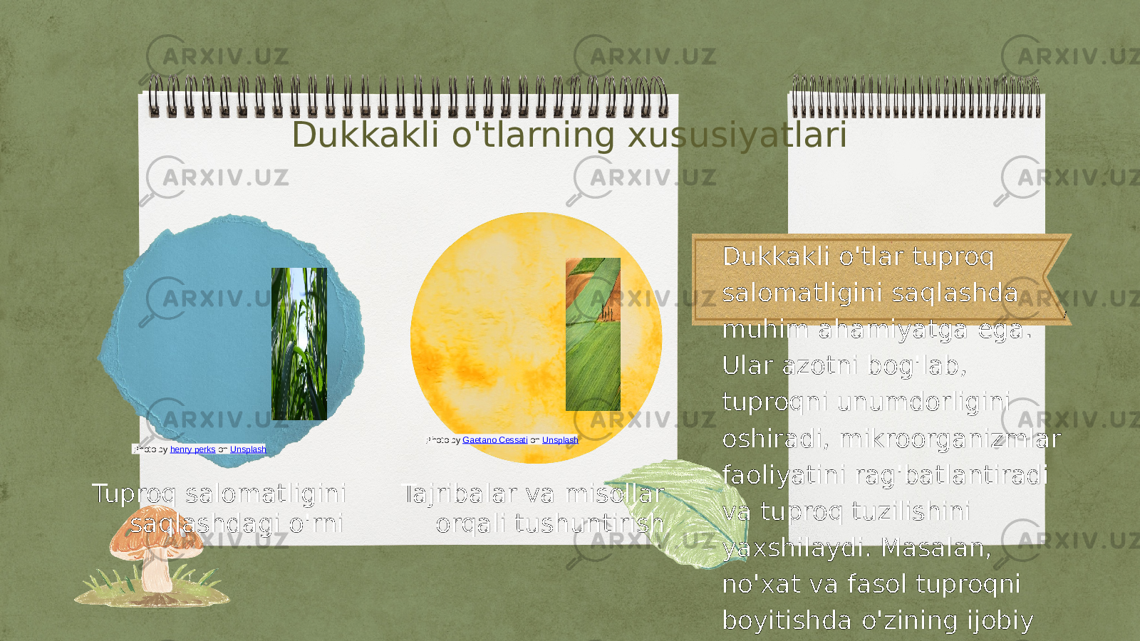 /Dukkakli o&#39;tlarning xususiyatlari Tuproq salomatligini saqlashdagi o&#39;rni Tajribalar va misollar orqali tushuntirish Dukkakli o&#39;tlar tuproq salomatligini saqlashda muhim ahamiyatga ega. Ular azotni bog&#39;lab, tuproqni unumdorligini oshiradi, mikroorganizmlar faoliyatini rag&#39;batlantiradi va tuproq tuzilishini yaxshilaydi. Masalan, no&#39;xat va fasol tuproqni boyitishda o&#39;zining ijobiy ta&#39;sirini ko&#39;rsatgan.Photo by Gaetano Cessati on Unsplash Photo by henry perks on Unsplash 