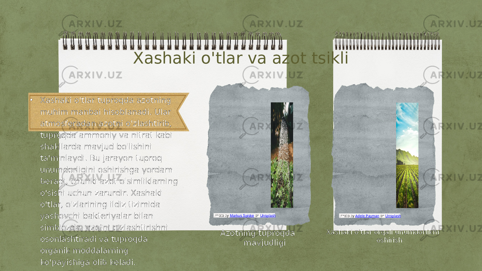 Xashaki o&#39;tlar va azot tsikli • Xashaki o&#39;tlar tuproqda azotning muhim manbai hisoblanadi. Ular atmosferadan azotni o&#39;zlashtirib, tuproqda ammoniy va nitrat kabi shakllarda mavjud bo&#39;lishini ta&#39;minlaydi. Bu jarayon tuproq unumdorligini oshirishga yordam beradi, chunki azot o&#39;simliklarning o&#39;sishi uchun zarurdir. Xashaki o&#39;tlar, o&#39;zlarining ildiz tizimida yashovchi bakteriyalar bilan simbiozda, azotni o&#39;zlashtirishni osonlashtiradi va tuproqda organik moddalarning ko&#39;payishiga olib keladi. Azotning tuproqda mavjudligi Xashaki o&#39;tlar orqali unumdorlikni oshirishPhoto by Markus Spiske on Unsplash Photo by Adele Payman on Unsplash 