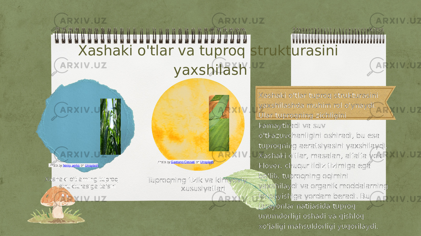 /Xashaki o&#39;tlar va tuproq strukturasini yaxshilash Xashaki o&#39;tlarning tuproq strukturasiga ta&#39;siri Tuproqning fizik va kimyoviy xususiyatlari Xashaki o&#39;tlar tuproq strukturasini yaxshilashda muhim rol o&#39;ynaydi. Ular tuproqning zichligini kamaytiradi va suv o&#39;tkazuvchanligini oshiradi, bu esa tuproqning aeratsiyasini yaxshilaydi. Xashaki o&#39;tlar, masalan, alfalfa yoki klover, chuqur ildiz tizimiga ega bo&#39;lib, tuproqning oqimini yaxshilaydi va organik moddalarning ko&#39;payishiga yordam beradi. Bu jarayonlar natijasida tuproq unumdorligi oshadi va qishloq xo&#39;jaligi mahsuldorligi yuqorilaydi.Photo by Gaetano Cessati on Unsplash Photo by henry perks on Unsplash 