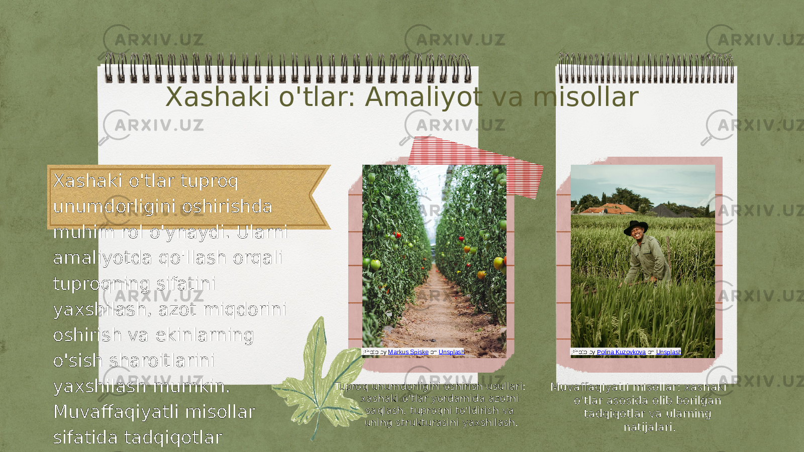 Xashaki o&#39;tlar: Amaliyot va misollar Xashaki o&#39;tlar tuproq unumdorligini oshirishda muhim rol o&#39;ynaydi. Ularni amaliyotda qo&#39;llash orqali tuproqning sifatini yaxshilash, azot miqdorini oshirish va ekinlarning o&#39;sish sharoitlarini yaxshilash mumkin. Muvaffaqiyatli misollar sifatida tadqiqotlar keltiriladi. Tuproq unumdorligini oshirish usullari: xashaki o&#39;tlar yordamida azotni saqlash, tuproqni to&#39;ldirish va uning strukturasini yaxshilash. Muvaffaqiyatli misollar: xashaki o&#39;tlar asosida olib borilgan tadqiqotlar va ularning natijalari.Photo by Markus Spiske on Unsplash Photo by Polina Kuzovkova on Unsplash 