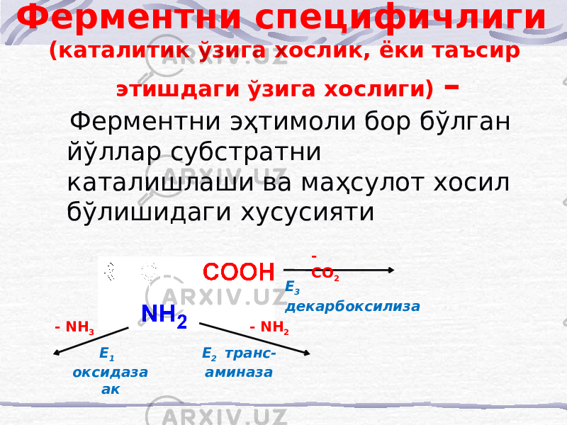 Ферментни специфичлиги (каталитик ўзига хослик, ёки таъсир этишдаги ўзига хослиги) – Ферментни эҳтимоли бор бўлган йўллар субстратни каталишлаши ва маҳсулот хосил бўлишидаги хусусияти - СО 2 - NH 2- NH 3 Е 3 декарбоксилиза Е 2 транс- аминазаЕ 1 оксидаза ак 