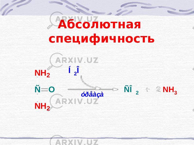 Абсолютная специфичностьóðåàçà Í 2 Î N H 2 Ñ N H 2 O ÑÎ 2 + 2 NH 3 