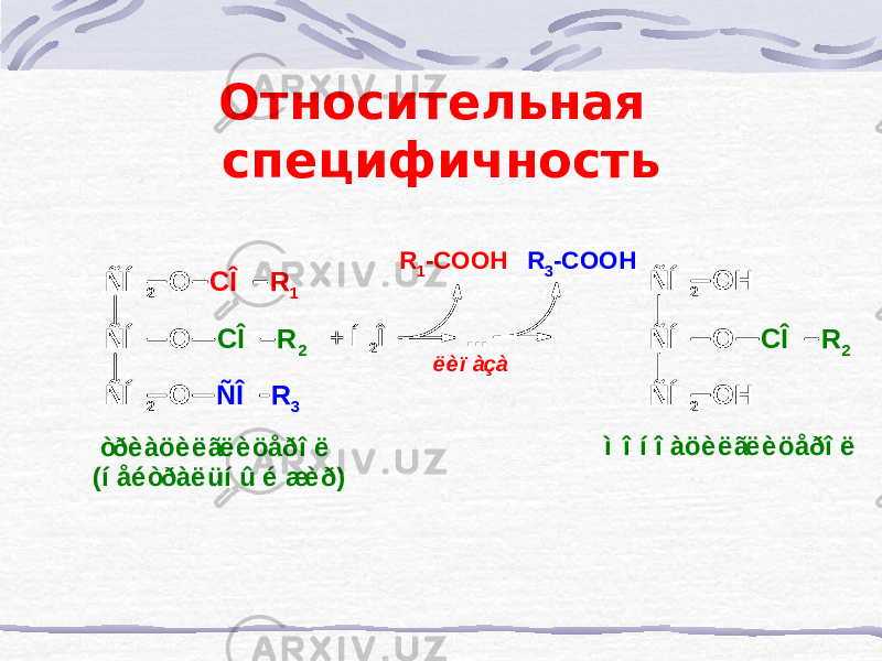 Относительная специфичность+ Í 2Î ... R 1-COOH R 3-COOH ë èï àçà ÑÍ 2 ÑÍ ÑÍ 2 O CÎ R 1 O CÎ R 2 O ÑÎ R 3 òðè àöè ë ãë è öåðî ë (í åé òðàë üí û é æè ð) ÑÍ 2 ÑÍ ÑÍ 2 O H O CÎ R 2 O H ì î í î àöè ë ãë è öåðî ë 