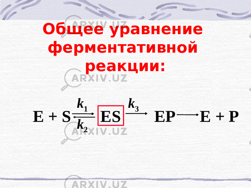 Общее уравнение ферментативной реакции: E + S ES EP E + P k 2 k 3k 1 