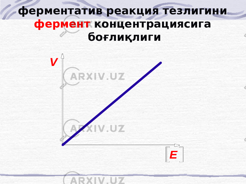 ферментатив реакция тезлигини фермент концентрациясига боғлиқлигиV E 