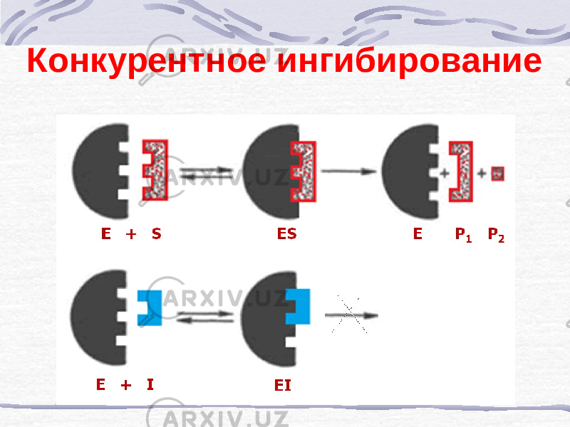 Конкурентное ингибирование 