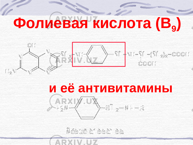 Фолиевая кислота (В 9 ) и её антивитаминыN N N N N H 2 O H ÑÍ 2 N H ÑÎ N H ÑÍ (ÑÍ 2)2 COOH COOH N H 2 SÎ 2 N H R Ñóë üô àí è ë àì è ä 