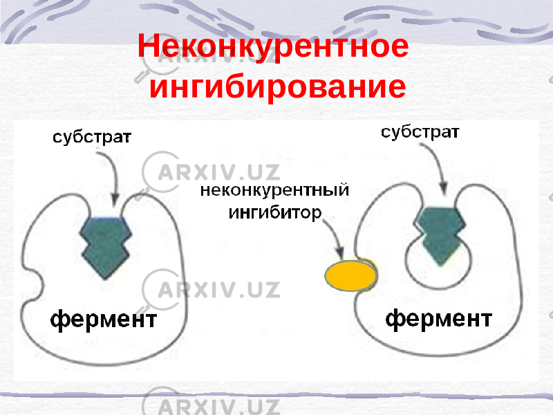 Неконкурентное ингибирование 