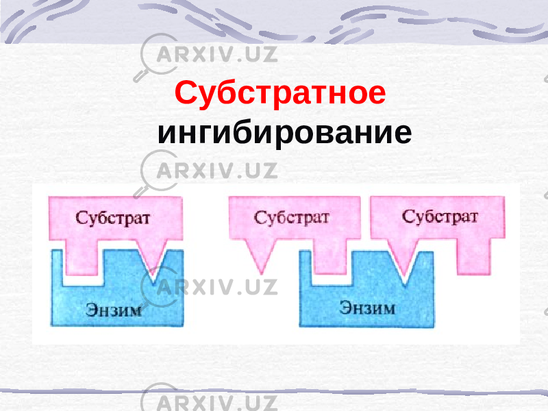 Субстратное ингибирование 