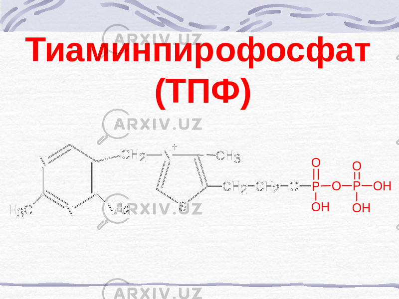 Тиаминпирофосфат (ТПФ)N N C H 3 N H 2 C H 2 S N + C H 3 C H 2 C H 2 O P O P O H O H O H O O 