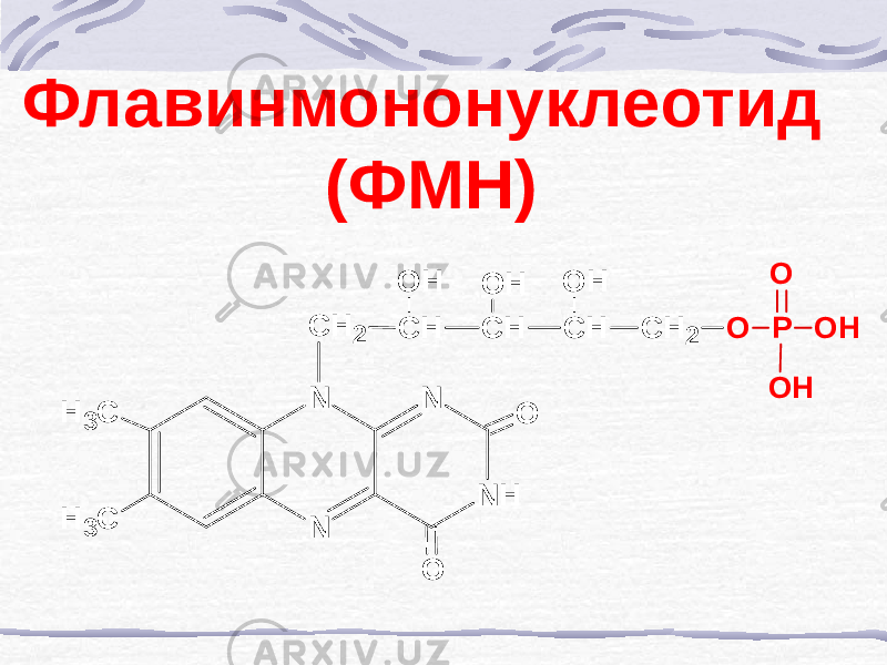 Флавинмононуклеотид (ФМН)N N N H N C H 3 C H 3 O O C H 2 C H C H C H C H 2 O H O H O H O P O H O H O 