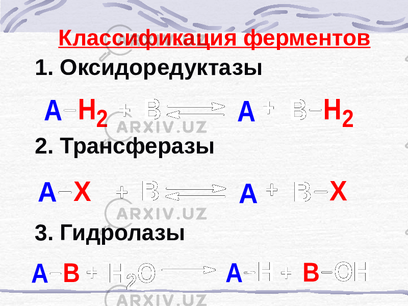 Классификация ферментов 1. Оксидоредуктазы 2. Трансферазы 3. ГидролазыА Н 2 В В Н 2 А + + А Х В В Х А + + А В Н 2 О В ОН А Н + + 