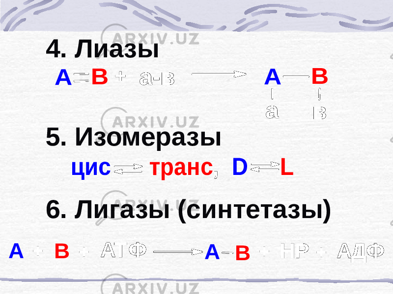 4. Лиазы 5. Изомеразы 6. Лигазы (синтетазы)А В а-в А а В в + цис транс , D L + АТФ + + А В А В АДФ НР + 