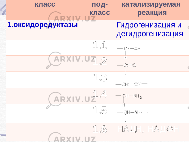 класс под- класс катализируемая реакция 1.оксидоредуктазы Гидрогенизация и дегидрогенизация 1.1 1.2 1.3 1.4 1.5 1.6 НАДН, НАДФНСН H O H С O СН СН СН H N H 2 СН H NН 