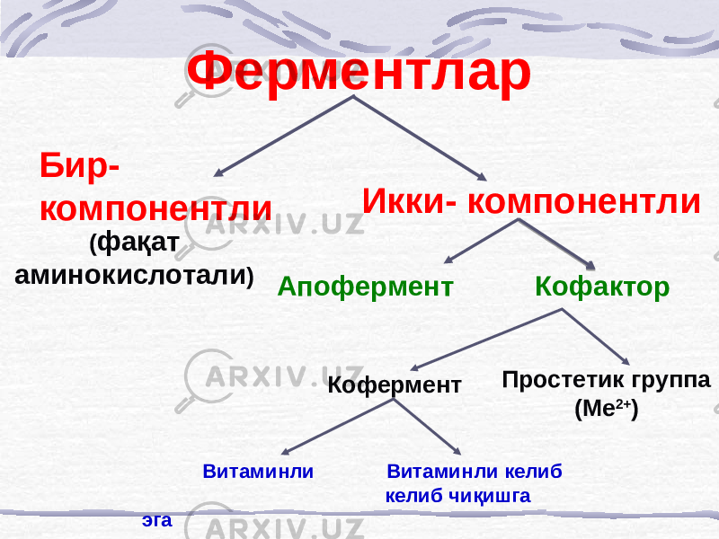 Ферментлар Бир- компонентли ( фақат аминокислотали ) Икки- компонентли Апофермент Простетик группа (Ме 2+ )Кофактор Кофермент Витаминли Витаминли келиб келиб чиқишга эга 