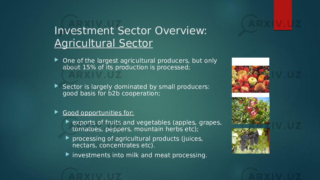 Investment Sector Overview: Agricultural Sector  One of the largest agricultural producers, but only about 15% of its production is processed;  Sector is largely dominated by small producers: good basis for b2b cooperation;  Good opportunities for:  exports of fruits and vegetables (apples, grapes, tomatoes, peppers, mountain herbs etc);  processing of agricultural products (juices, nectars, concentrates etc).  investments into milk and meat processing. 