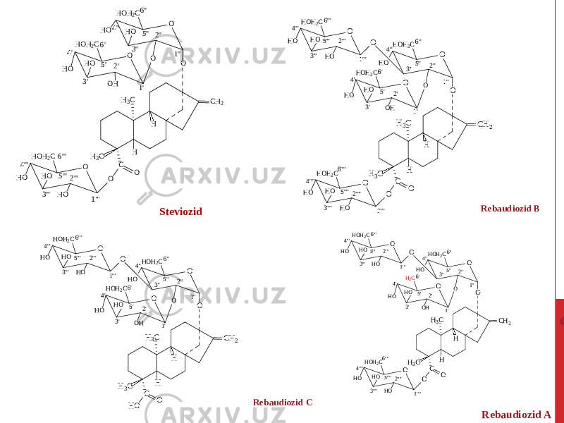 Steviozid Rebaudiozid ARebaudiozid B Rebaudiozid CHO O HOH2C HO HO O HOH2C HO OH HO O CH2 H H C H3C H3C O O O O HOH2C HO HO 1&#39; 2&#39; 3&#39; 4&#39; 5&#39; 6&#39; 1&#39;&#39; 2&#39;&#39; 3&#39;&#39; 4&#39;&#39; 5&#39;&#39; 6&#39;&#39; 1&#39;&#39;&#39; 2&#39;&#39;&#39; 3&#39;&#39;&#39; 4&#39;&#39;&#39; 5&#39;&#39;&#39; 6&#39;&#39;&#39;1 &#39;2 &#39; 3 &#39;4 &#39; 5 &#39;6 &#39; 1 &#39; &#39;2 &#39; &#39; 3 &#39; &#39;4 &#39; &#39; 5 &#39; &#39;6 &#39; &#39; 1 &#39; &#39; &#39;2 &#39; &#39; &#39; 3 &#39; &#39; &#39;4 &#39; &#39; &#39; 5 &#39; &#39; &#39;6 &#39; &#39; &#39; H O OH O H 2 C H O H O O O H O H 2 C H O O HH O HO CH2 H H C H3C H3C O O O OH O H 2 C H O 1&#39; 2&#39; 3&#39; 4&#39; 5&#39; 6&#39; 1&#39;&#39; 2&#39;&#39; 3&#39;&#39; 4&#39;&#39; 5&#39;&#39; 6&#39;&#39; 1&#39;&#39;&#39; 2&#39;&#39;&#39; 3&#39;&#39;&#39; 4&#39;&#39;&#39; 5&#39;&#39;&#39; 6&#39;&#39;&#39; 1&#39;&#39;&#39;&#39; 2&#39;&#39;&#39;&#39; 3&#39;&#39;&#39;&#39; 4&#39;&#39;&#39;&#39; 5&#39;&#39;&#39;&#39; 6&#39;&#39;&#39;&#39; HO O HOH2C HO HO O HO O HOH2C HO HO O H3C HO OH HO O CH2 H H C H3C H3C O O O O HOH2C HO 1&#39; 2&#39; 3&#39; 4&#39; 5&#39; 6&#39; 1&#39;&#39; 2&#39;&#39; 3&#39;&#39; 4&#39;&#39; 5&#39;&#39; 6&#39;&#39; 1&#39;&#39;&#39; 2&#39;&#39;&#39; 3&#39;&#39;&#39; 4&#39;&#39;&#39; 5&#39;&#39;&#39; 6&#39;&#39;&#39; 1&#39;&#39;&#39;&#39; 2&#39;&#39;&#39;&#39; 3&#39;&#39;&#39;&#39; 4&#39;&#39;&#39;&#39; 5&#39;&#39;&#39;&#39; 6&#39;&#39;&#39;&#39; HO O HOH2C HO HO O HO O HOH2C HO HO O HOH2C HO OH HO O C H 2 H H CH 3 C H 3 C O O OO HOH2C HO 