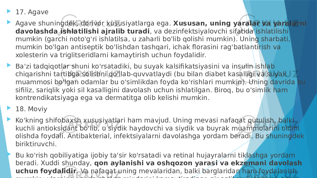  17. Agave  Agave shuningdek, dorivor xususiyatlarga ega.  Xususan, uning yaralar va yaralarni davolashda ishlatilishi ajralib turadi , va dezinfektsiyalovchi sifatida ishlatilishi mumkin (garchi noto&#39;g&#39;ri ishlatilsa, u zaharli bo&#39;lib qolishi mumkin). Uning sharbati, mumkin bo&#39;lgan antiseptik bo&#39;lishdan tashqari, ichak florasini rag&#39;batlantirish va xolesterin va triglitseridlarni kamaytirish uchun foydalidir.  Ba&#39;zi tadqiqotlar shuni ko&#39;rsatadiki, bu suyak kalsifikatsiyasini va insulin ishlab chiqarishni tartibga solishni qo&#39;llab-quvvatlaydi (bu bilan diabet kasalligi va suyak muammosi bo&#39;lgan odamlar bu o&#39;simlikdan foyda ko&#39;rishlari mumkin). Uning davrida bu sifiliz, sariqlik yoki sil kasalligini davolash uchun ishlatilgan. Biroq, bu o&#39;simlik ham kontrendikatsiyaga ega va dermatitga olib kelishi mumkin.  18. Moviy  Ko&#39;kning shifobaxsh xususiyatlari ham mavjud. Uning mevasi nafaqat qutulish, balki kuchli antioksidant bo&#39;lib, u siydik haydovchi va siydik va buyrak muammolarini oldini olishda foydali. Antibakterial, infektsiyalarni davolashga yordam beradi. Bu shuningdek biriktiruvchi.  Bu ko&#39;rish qobiliyatiga ijobiy ta&#39;sir ko&#39;rsatadi va retinal hujayralarni tiklashga yordam beradi. Xuddi shunday,  qon aylanishi va oshqozon yarasi va ekzemani davolash uchun foydalidir . Va nafaqat uning mevalaridan, balki barglaridan ham foydalanish mumkin: ularning qonda shakar miqdorini kamaytiradigan gipoglikemik ta&#39;sirga ega ekanligi kuzatildi (diabetga chalinganlarga foydali narsa). 