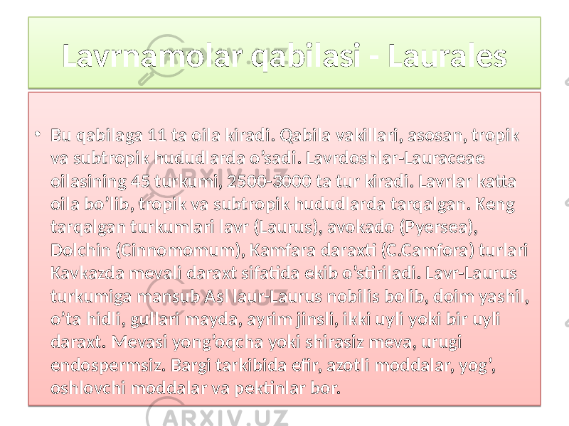 Lavrnamolar qabilasi - Laurales • Bu qabilaga 11 ta oila kiradi. Qabila vakillari, asosan, tropik va subtropik hududlarda o’sadi. Lavrdoshlar-Lauraceae oilasining 45 turkumi, 2500-3000 ta tur kiradi. Lavrlar katta oila bo’lib, tropik va subtropik hududlarda tarqalgan. Keng tarqalgan turkumlari lavr (Laurus), avokado (Pyersea), Dolchin (Cinnomomum), Kamfara daraxti (C.Camfora) turlari Kavkazda mevali daraxt sifatida ekib o’stiriladi. Lavr-Laurus turkumiga mansub Asl laur-Laurus nobilis bolib, doim yashil, o’ta hidli, gullari mayda, ayrim jinsli, ikki uyli yoki bir uyli daraxt. Мevasi yong’oqcha yoki shirasiz meva, urugi endospermsiz. Bargi tarkibida efir, azotli moddalar, yog’, oshlovchi moddalar va pektinlar bor. 3B02 01 3C 22 05 05 09 42 48 0910 05 26 15 05 