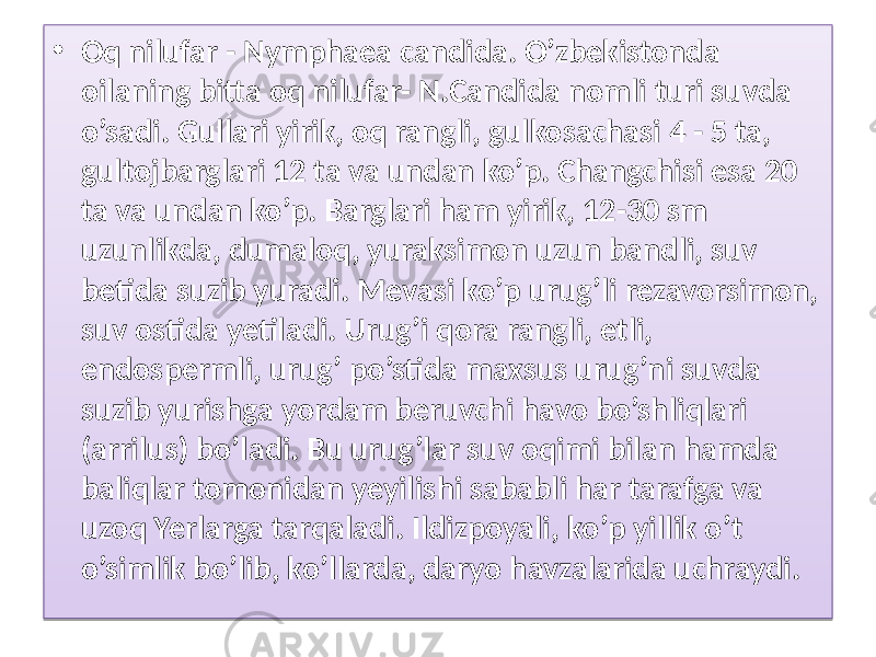 • Oq nilufar - Nymphaea candida. O’zbekistonda oilaning bitta oq nilufar- N.Candida nomli turi suvda o’sadi. Gullari yirik, oq rangli, gulkosachasi 4 - 5 ta, gultojbarglari 12 ta va undan ko’p. Changchisi esa 20 ta va undan ko’p. Barglari ham yirik, 12-30 sm uzunlikda, dumaloq, yuraksimon uzun bandli, suv betida suzib yuradi. Mevasi ko’p urug’li rezavorsimon, suv ostida yetiladi. Urug’i qora rangli, etli, endospermli, urug’ po’stida maxsus urug’ni suvda suzib yurishga yordam beruvchi havo bo’shliqlari (arrilus) bo’ladi. Bu urug’lar suv oqimi bilan hamda baliqlar tomonidan yeyilishi sababli har tarafga va uzoq Yerlarga tarqaladi. Ildizpoyali, ko’p yillik o’t o’simlik bo’lib, ko’llarda, daryo havzalarida uchraydi.01 460F 050706 0512 0310 09 1020 1D15 14 15042605 14 30 1D02 1020 0512 