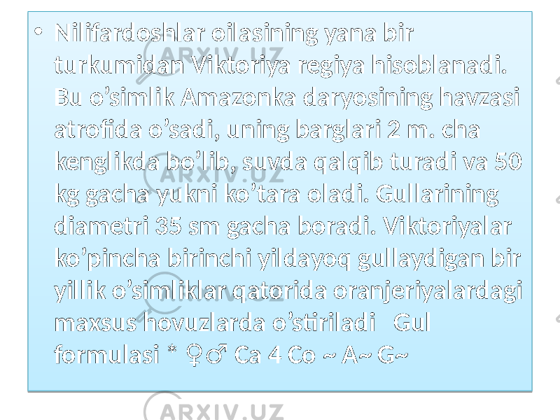 • Nilifardoshlar oilasining yana bir turkumidan Viktoriya regiya hisoblanadi. Bu o’simlik Amazonka daryosining havzasi atrofida o’sadi, uning barglari 2 m. cha kenglikda bo’lib, suvda qalqib turadi va 50 kg gacha yukni ko’tara oladi. Gullarining diametri 35 sm gacha boradi. Viktoriyalar ko’pincha birinchi yildayoq gullaydigan bir yillik o’simliklar qatorida oranjeriyalardagi maxsus hovuzlarda o’stiriladi Gul formulasi * Са 4 Со ~ А~ G~ ♀♂01 4B070607 0910 3C 02 17 17030E 26 17 08 16 0A01 