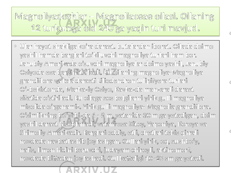 Magnoliyadoshlar – Magnoliaceae oilasi. Oilaning 12 turkumga oid 240 ga yaqin turi mavjud. • Ular hayot shakliga ko’ra daraxt. butalardan iborat. Oilada doimo yashil hamda barglari to’kiluvchi magnoliya turlari ham bor. Janubiy Amerikada o’suvchi magnoliyalar doimo yashil, Janubiy Osiyoda esa bargini to’kadi. Bu oilaning magnoliya-Magnoliya grandiflora va lola daraxti Liliodendron tulipifyera turlari O’zbekistonda, Markaziy Osiyo, Kavkazda manzarali daraxt sifatida o’stiriladi. Bu oilaga xos belgilarni yirik gulli magnoliya misolida o’rganamiz. Yirik gulli magnoliya- Magnolia grandiflora. O’simlikning bo’yi bizda 6 - 8 m, vatanida 30 m ga yetadigan, doim yashil daraxt hisoblanadi, vatani esa Xitoy, Yaponiya, Koreya va Shimoliy Amerikadir. Barglari oddiy, etli, chetlari tekis qirrali novdada navbatlashib joylashgan. Gullari yirik, oq, xushbo’y, nafis, limon hidini beruvchi, judayam chiroyli, aktinomorf, novdada bittadan joylashadi. Gul kattaligi 10 -25 sm ga yetadi.0102030405 24 01 3406 08 1A 46 03 46 14 16 46 08 490D0716 0405 0402 0405 