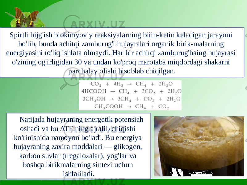 Spirtli bijg&#39;ish biokimyoviy reaksiyalarning biiin-ketin keladigan jarayoni bo&#39;lib, bunda achitqi zamburug&#39;i hujayralari organik birik-malarning energiyasini to&#39;liq ishlata olmaydi. Har bir achitqi zamburug&#39;haing hujayrasi o&#39;zining og&#39;irligidan 30 va undan ko&#39;proq marotaba miqdordagi shakarni parchalay olishi hisoblab chiqilgan. Natijada hujayraning energetik potensiah oshadi va bu ATF ning ajralib chiqishi ko&#39;rinishida namoyon bo&#39;ladi. Bu energiya hujay raning zaxira moddalari — glikogen, karbon suvlar (tregalozalar), yog&#39;lar va boshqa birikmalarning sintezi uchun ishlatiladi. 