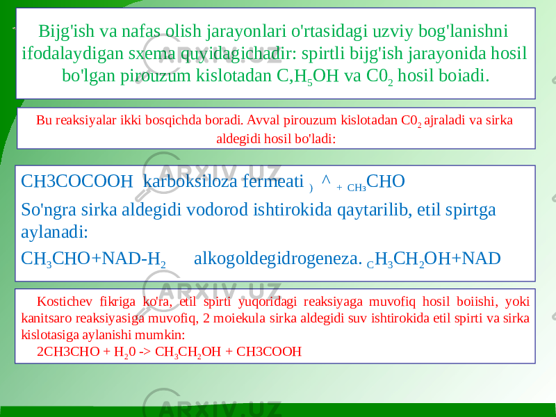 Bijg&#39;ish va nafas olish jarayonlari o&#39;rtasidagi uzviy bog&#39;lanishni ifodalaydigan sxema quyidagichadir: spirtli bijg&#39;ish jarayonida hosil bo&#39;lgan pirouzum kislotadan C,H 5 OH va C0 2 hosil boiadi. CH3COCOOH karboksiloza fermeati ) ^ + СНз СНО So&#39;ngra sirka aldegidi vodorod ishtirokida qaytarilib, etil spirtga aylanadi: CH 3 CHO+NAD-H 2 alkogoldegidrogeneza. C H 3 CH 2 OH+NADBu reaksiyalar ikki bosqichda boradi. Avval pirouzum kislotadan C0 2 ajraladi va sirka aldegidi hosil bo&#39;ladi: Kostichev fikriga ko&#39;ra, etil spirti yuqoridagi reaksiyaga muvofiq hosil boiishi, yoki kanitsaro reaksiyasiga muvofiq, 2 moiekula sirka aldegidi suv ishtirokida etil spirti va sirka kislotasiga aylanishi mumkin: 2CH3CHO + H 2 0 -> CH 3 CH 2 OH + CH3COOH 