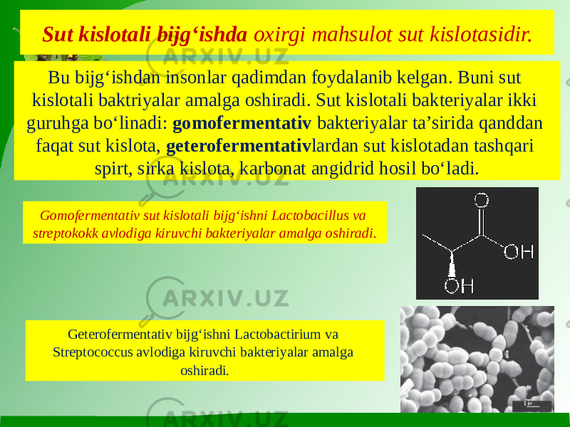 Sut kislotali bijg‘ishda  oxirgi mahsulot sut kislotasidir. Bu bijg‘ishdan insonlar qadimdan foydalanib kelgan. Buni sut kislotali baktriyalar amalga oshiradi. Sut kislotali bakteriyalar ikki guruhga bo‘linadi:  gomofermentativ  bakteriyalar ta’sirida qanddan faqat sut kislota,  geterofermentativ lardan sut kislotadan tashqari spirt, sirka kislota, karbonat angidrid hosil bo‘ladi. Gomofermentativ sut kislotali bijg‘ishni Lactobacillus va streptokokk avlodiga kiruvchi bakteriyalar amalga oshiradi. Geterofermentativ bijg‘ishni Lactobactirium va Streptococcus avlodiga kiruvchi bakteriyalar amalga oshiradi. 