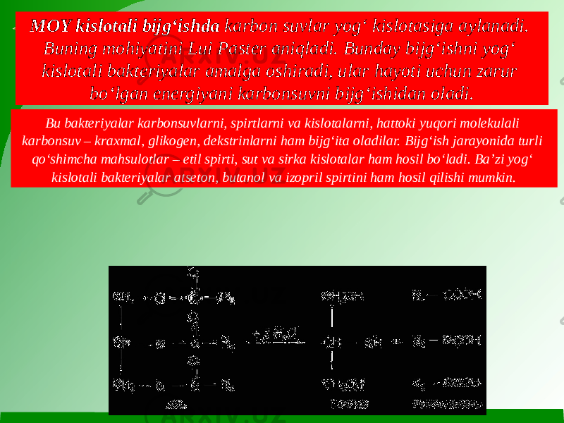 MOY kislotali bijg‘ishda  karbon suvlar yog‘ kislotasiga aylanadi. Buning mohiyatini Lui Paster aniqladi. Bunday bijg‘ishni yog‘ kislotali bakteriyalar amalga oshiradi, ular hayoti uchun zarur bo‘lgan energiyani karbonsuvni bijg‘ishidan oladi. Bu bakteriyalar karbonsuvlarni, spirtlarni va kislotalarni, hattoki yuqori molekulali karbonsuv – kraxmal, glikogen, dekstrinlarni ham bijg‘ita oladilar. Bijg‘ish jarayonida turli qo‘shimcha mahsulotlar – etil spirti, sut va sirka kislotalar ham hosil bo‘ladi. Ba’zi yog‘ kislotali bakteriyalar atseton, butanol va izopril spirtini ham hosil qilishi mumkin. 